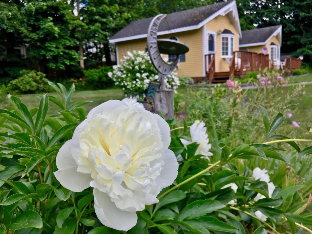 Sand Bar Cottage Inn Bar Harbor Exterior foto